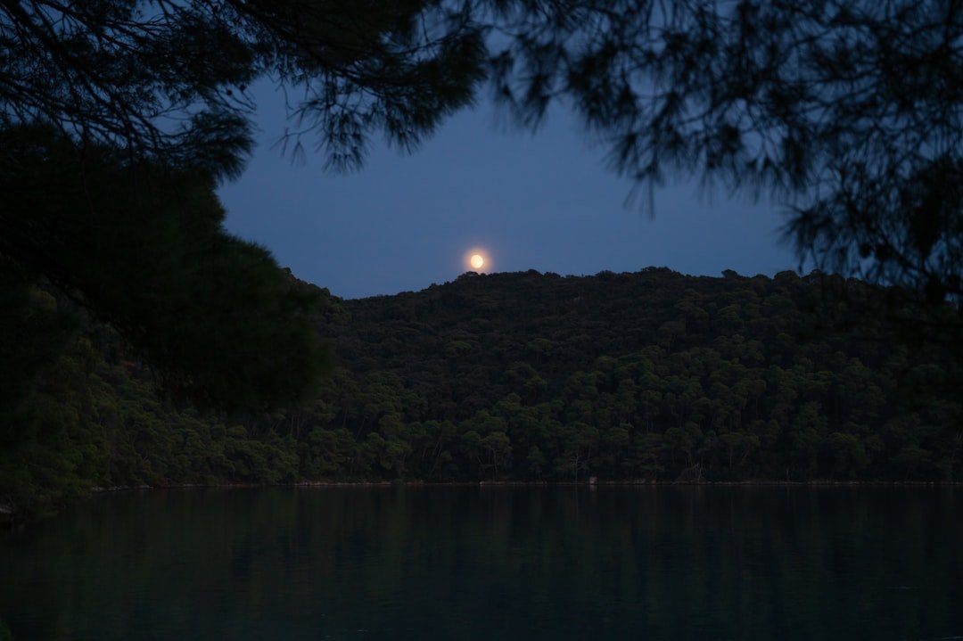 The Ultimate Guide to Spa Retreats in Vienna VA: Explore Moon Lake Spa ...