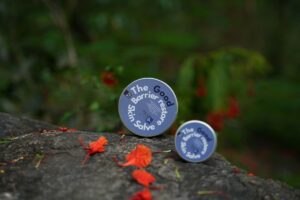 Two tins of skin salve on rocks with flowers